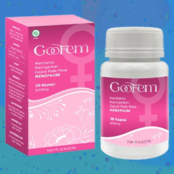 GOOFEM