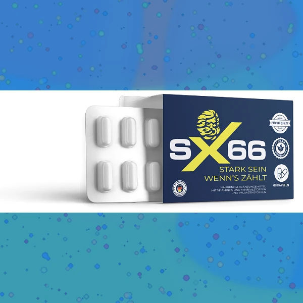 SX 66
